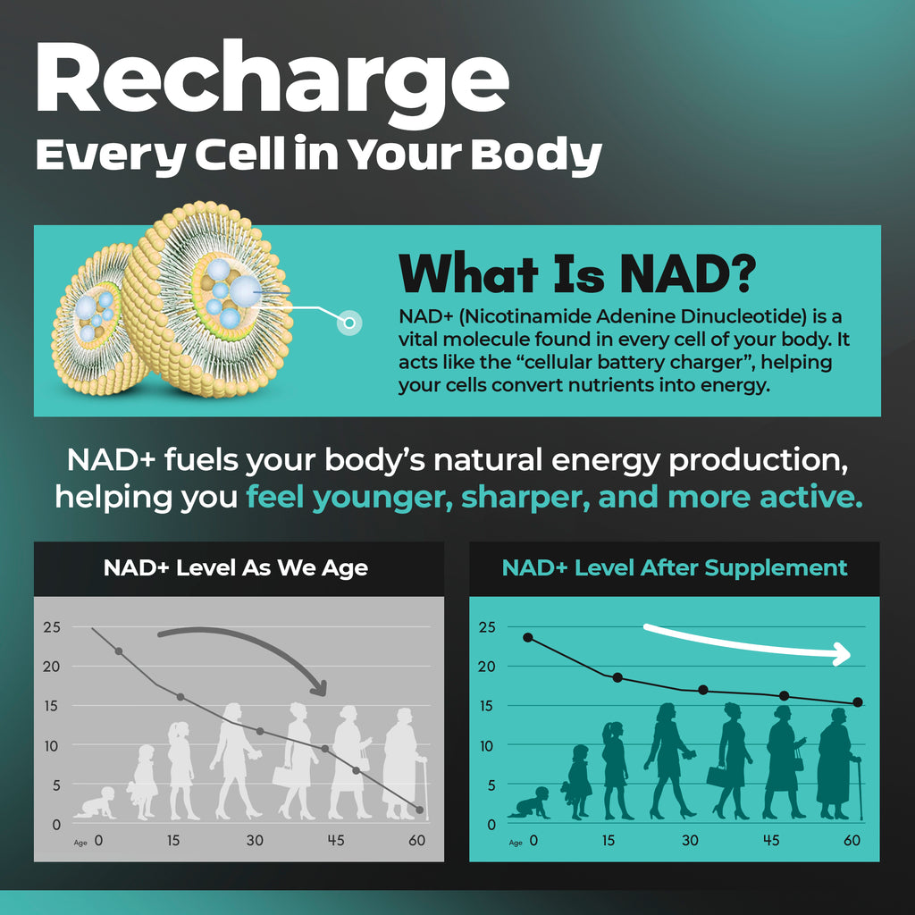 CARVELLA™ NAD+ Advanced Daily Supplement – 60 Capsules